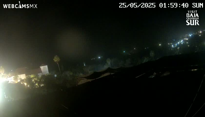 A nighttime, hazy view shows a dimly lit town with buildings, trees, and a few lights visible in the distance.