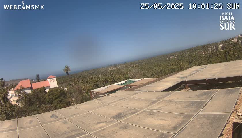An elevated view on a sunny day shows a large flat roof with a building and distant ocean in the background, all surrounded by lush green vegetation.