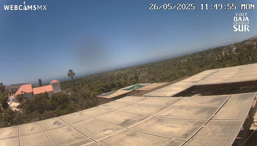 A view from a rooftop shows a dusty solar panel array, a tan building, lush green vegetation, and a clear blue sky.