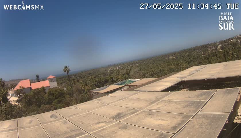 A large expanse of dusty solar panels on a rooftop overlooks a sun-drenched landscape of trees, buildings, and a distant ocean under a clear blue sky.
