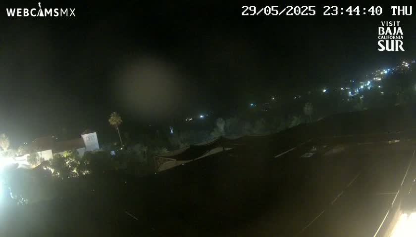 A nighttime, hazy view of a town with sparsely lit buildings and vegetation.