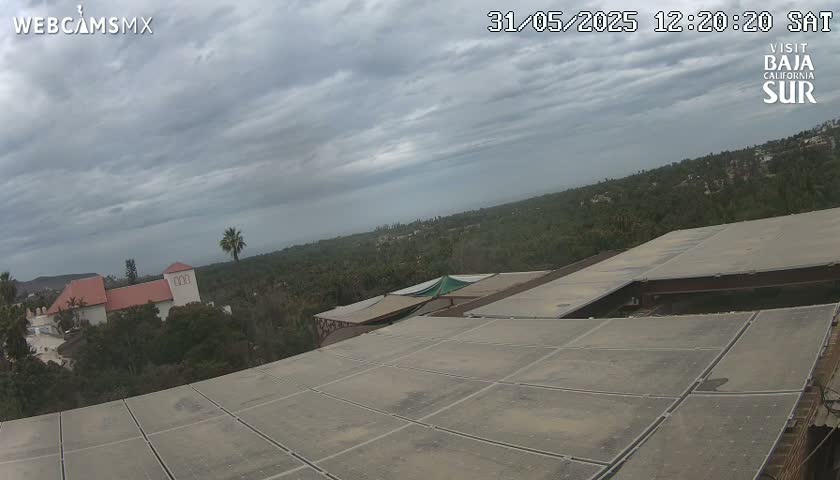 A flat, gray rooftop overlooks a landscape of low buildings and lush green vegetation under a cloudy sky.