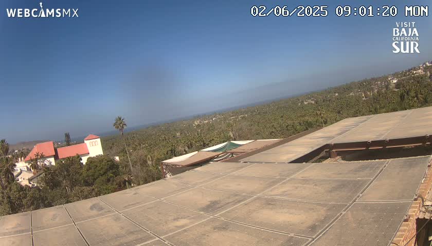 A flat, tiled rooftop overlooks a palm tree-filled landscape and a red-roofed building under a clear blue sky.
