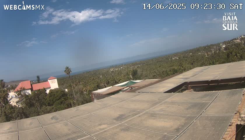 A mostly sunny day overlooks a tiled roof and a landscape of palm trees, buildings, and ocean in the distance.