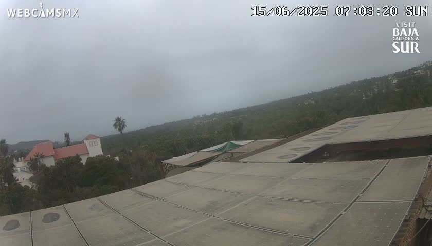A large, flat roof with a segmented design overlooks a foggy landscape of low-lying buildings and vegetation.