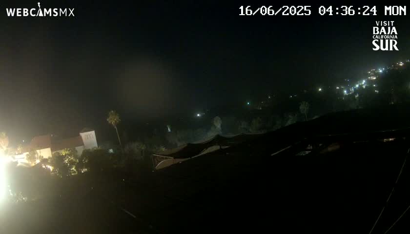 A nighttime, hazy view shows a building and some palm trees illuminated by artificial light, with a distant line of lights possibly indicating a road or town.