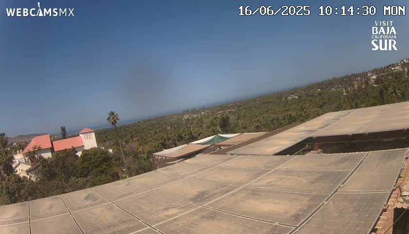 A large flat rooftop with a view of a building and a palm tree-filled landscape under a clear blue sky.
