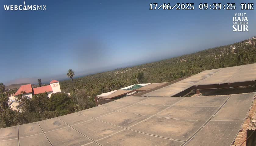 A tan, tiled rooftop overlooks a sprawling landscape of palm trees and a red-roofed building under a clear blue sky.