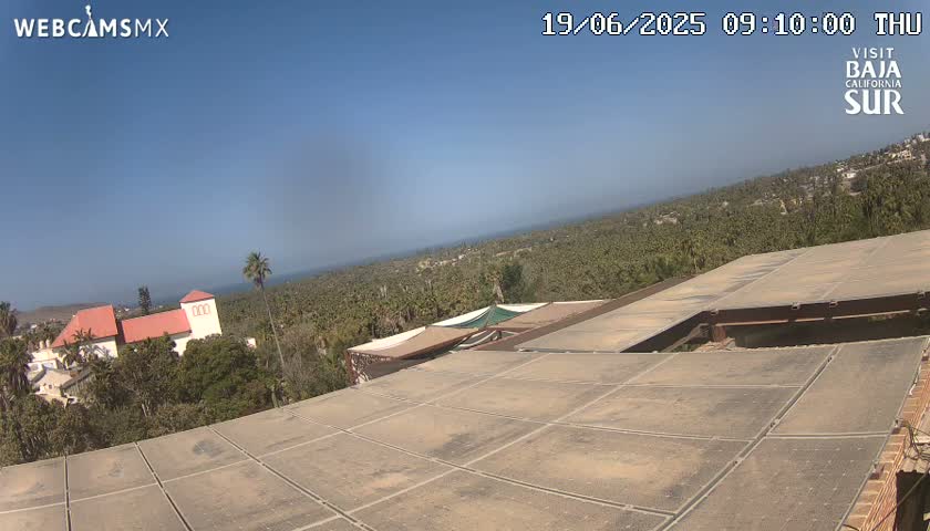 A large flat roof overlooks a sprawling landscape of palm trees, buildings, and a clear blue sky.