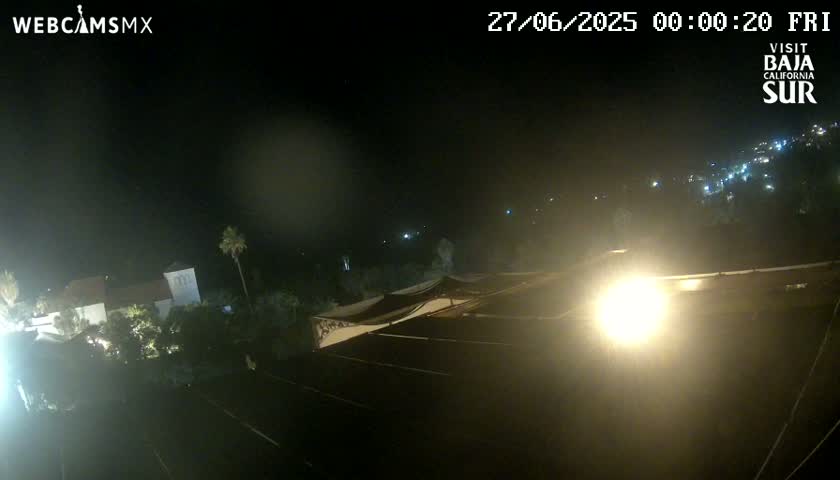 A nighttime, slightly hazy view of a building complex, trees, and a street with distant lights.