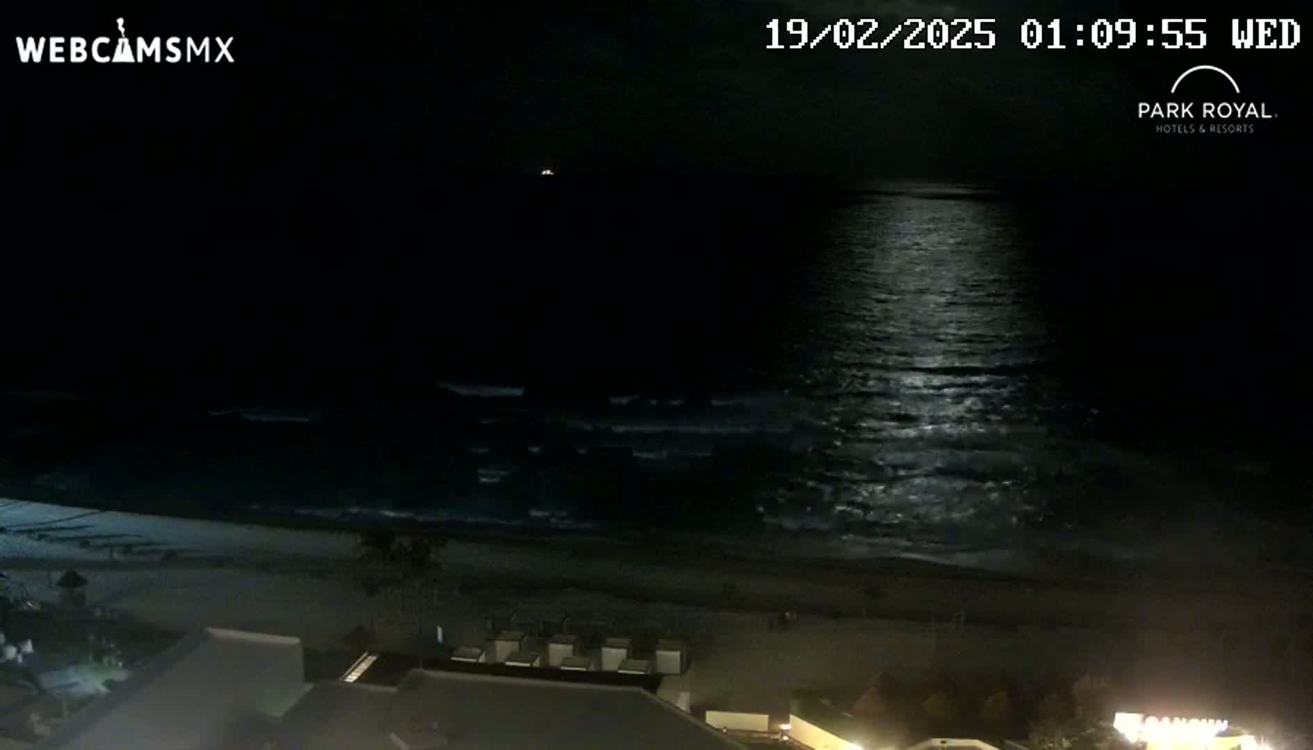A moonlit ocean with gentle waves laps a dark beach at night.
