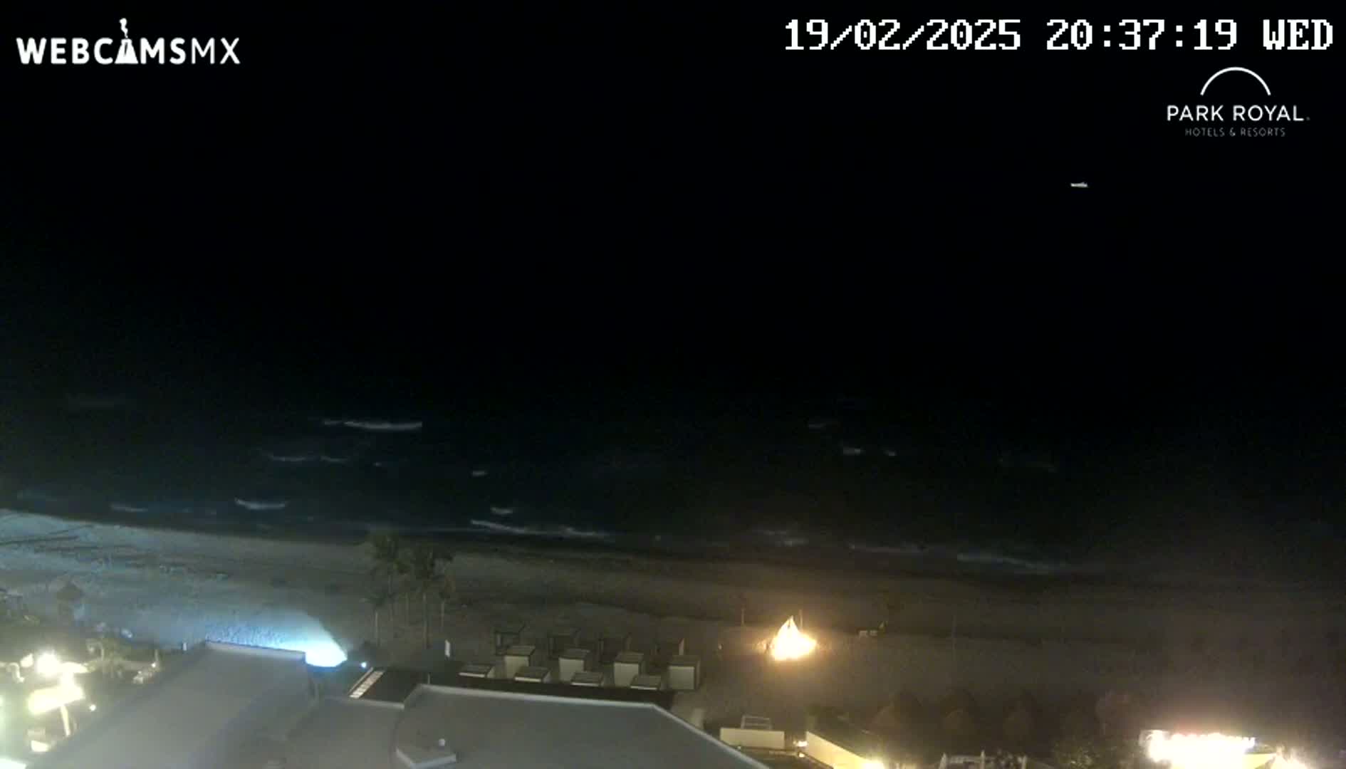A nighttime beach scene shows gently lapping waves on a dark sandy shore under a clear sky.