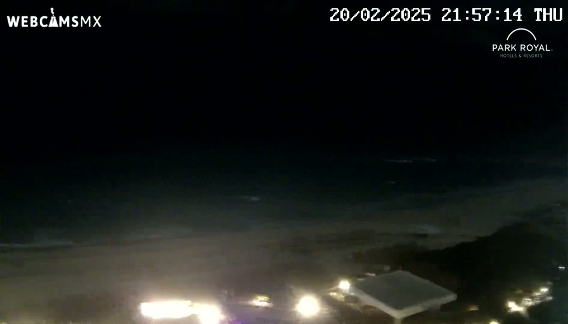 A nighttime view of a dark ocean shore with a few lights visible on the beach and nearby land.