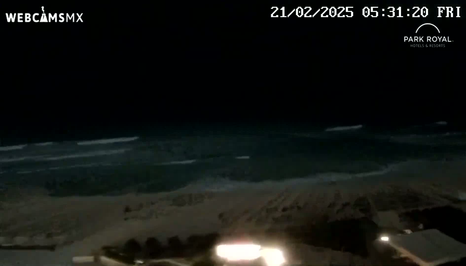 A nighttime view shows dark ocean waves lapping a sandy shore.