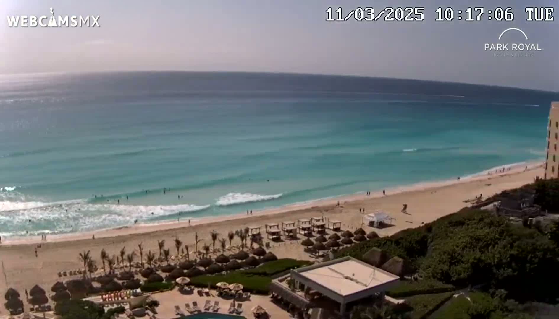 A beach with turquoise water and small waves laps a sandy shore lined with palm trees and beach umbrellas under a clear, sunny sky.