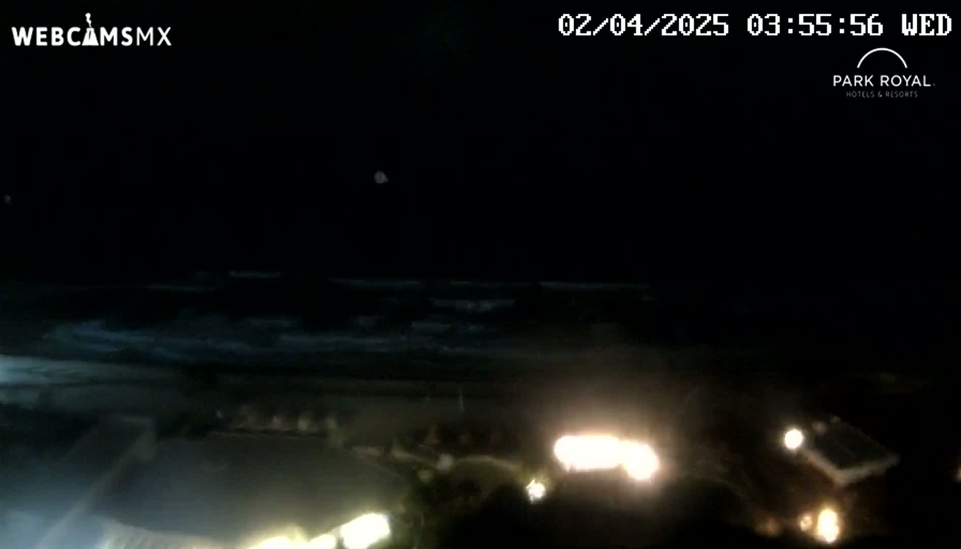 A nighttime view of a dark ocean with waves gently lapping the shore, illuminated by the headlights of vehicles parked nearby.