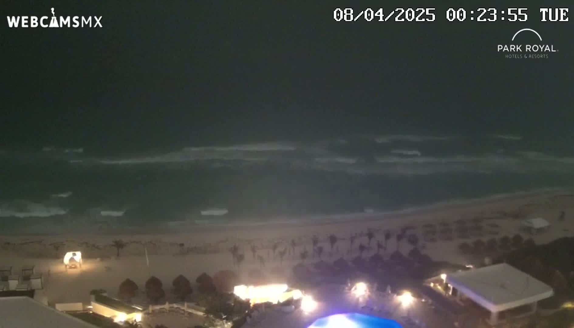A nighttime beach scene shows dark, choppy waves lapping a sandy shore, with palm trees and illuminated buildings visible in the foreground.