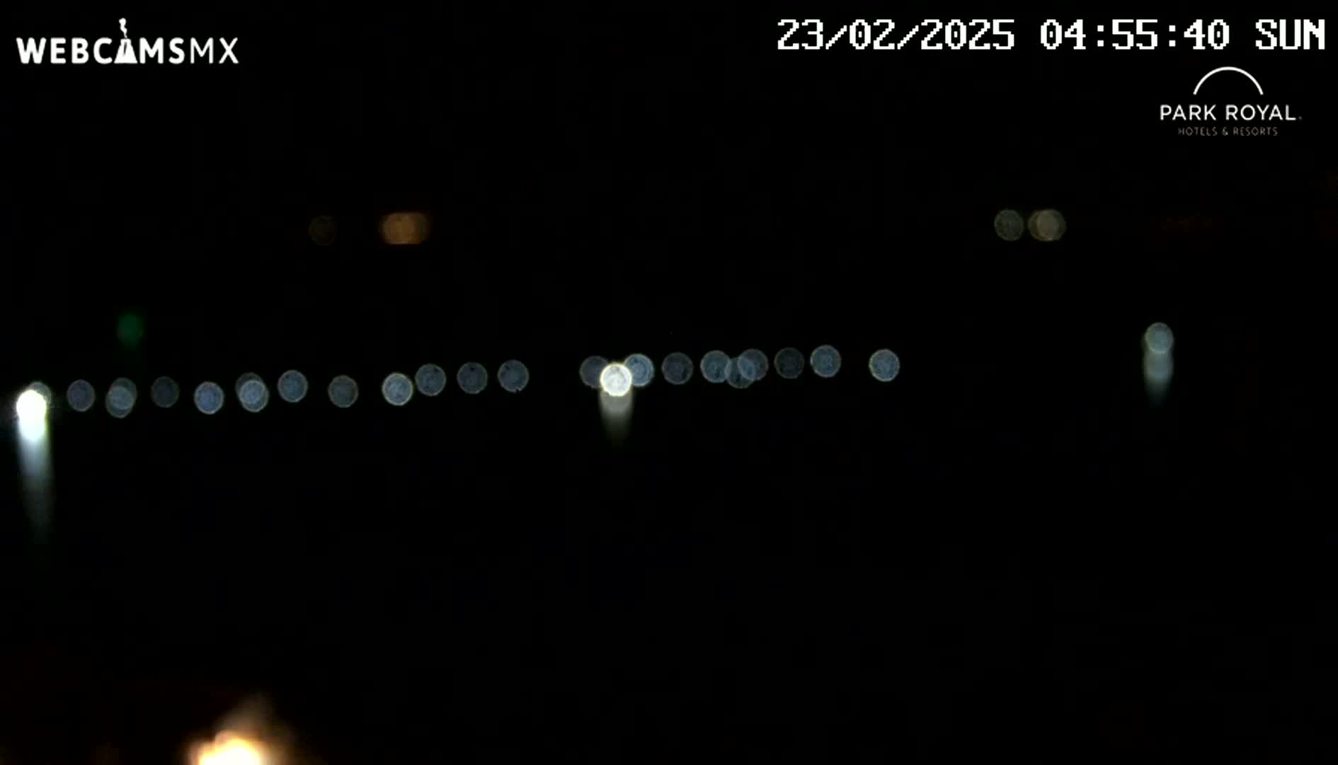 A nighttime outdoor scene shows a line of blurred lights in the distance under a clear, dark sky.