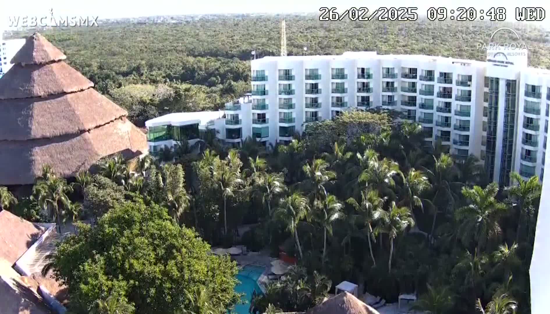 A large, white hotel complex is partially visible through lush tropical vegetation surrounding a swimming pool on a sunny day.