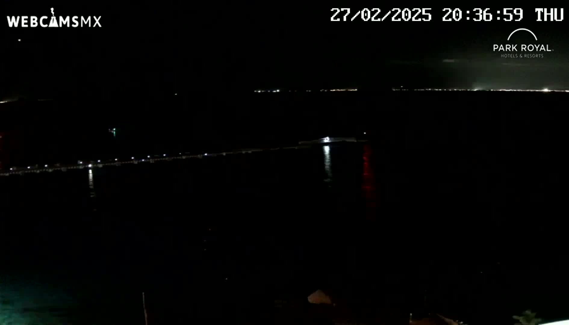 A nighttime view of a dark body of water with a lit pier and distant lights on the horizon under a clear sky.