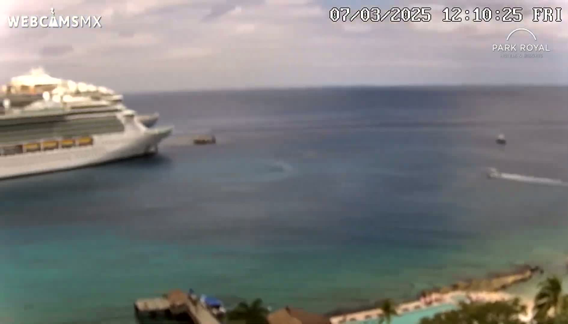 A large cruise ship is docked in calm, partly cloudy waters near a shoreline with vegetation and a swimming pool.