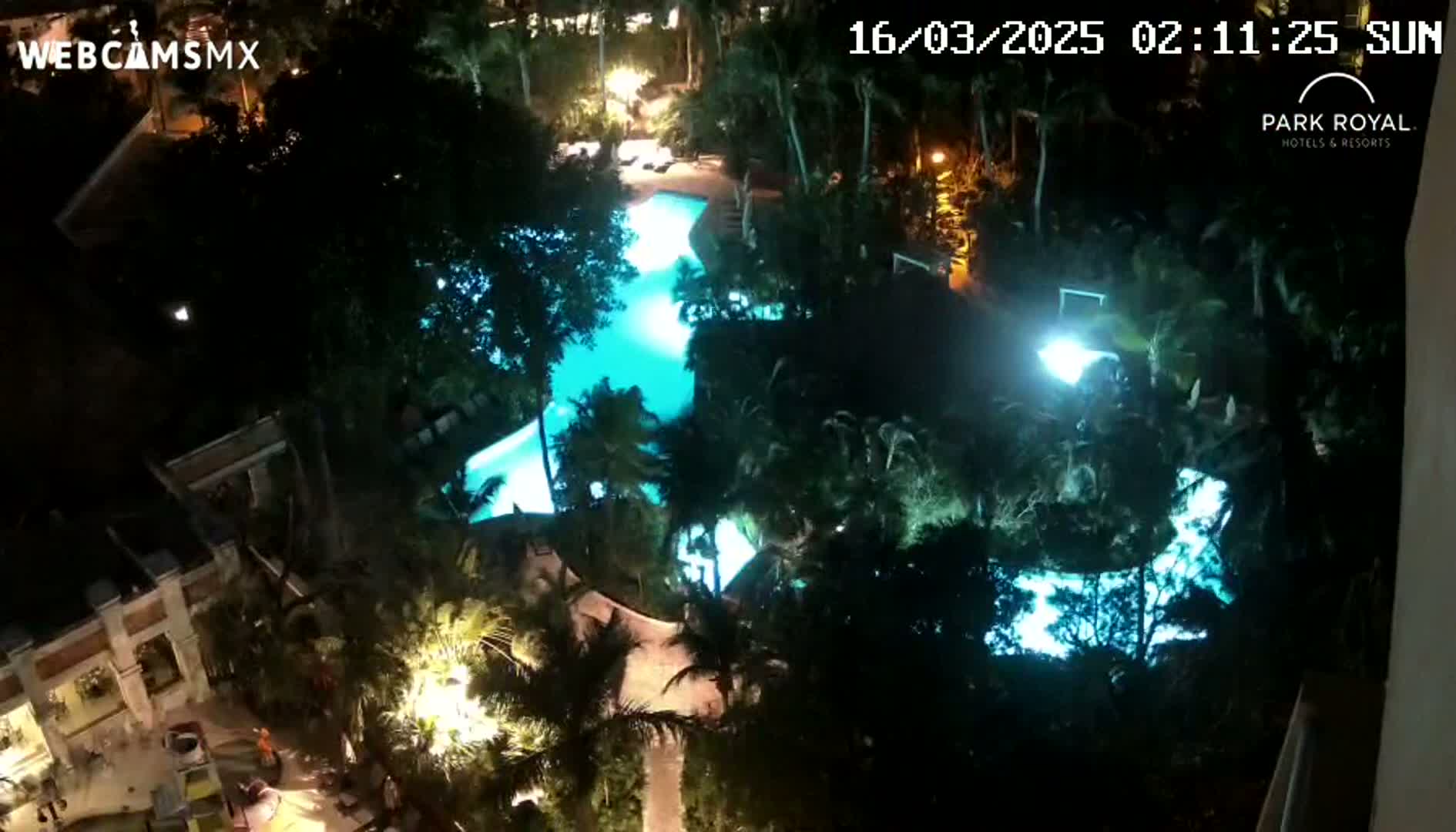 A nighttime aerial view shows a brightly lit, irregularly shaped swimming pool surrounded by lush tropical vegetation and buildings.