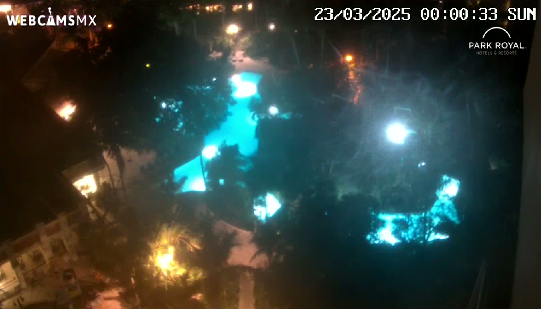 An illuminated swimming pool is surrounded by dark, lush vegetation at night.