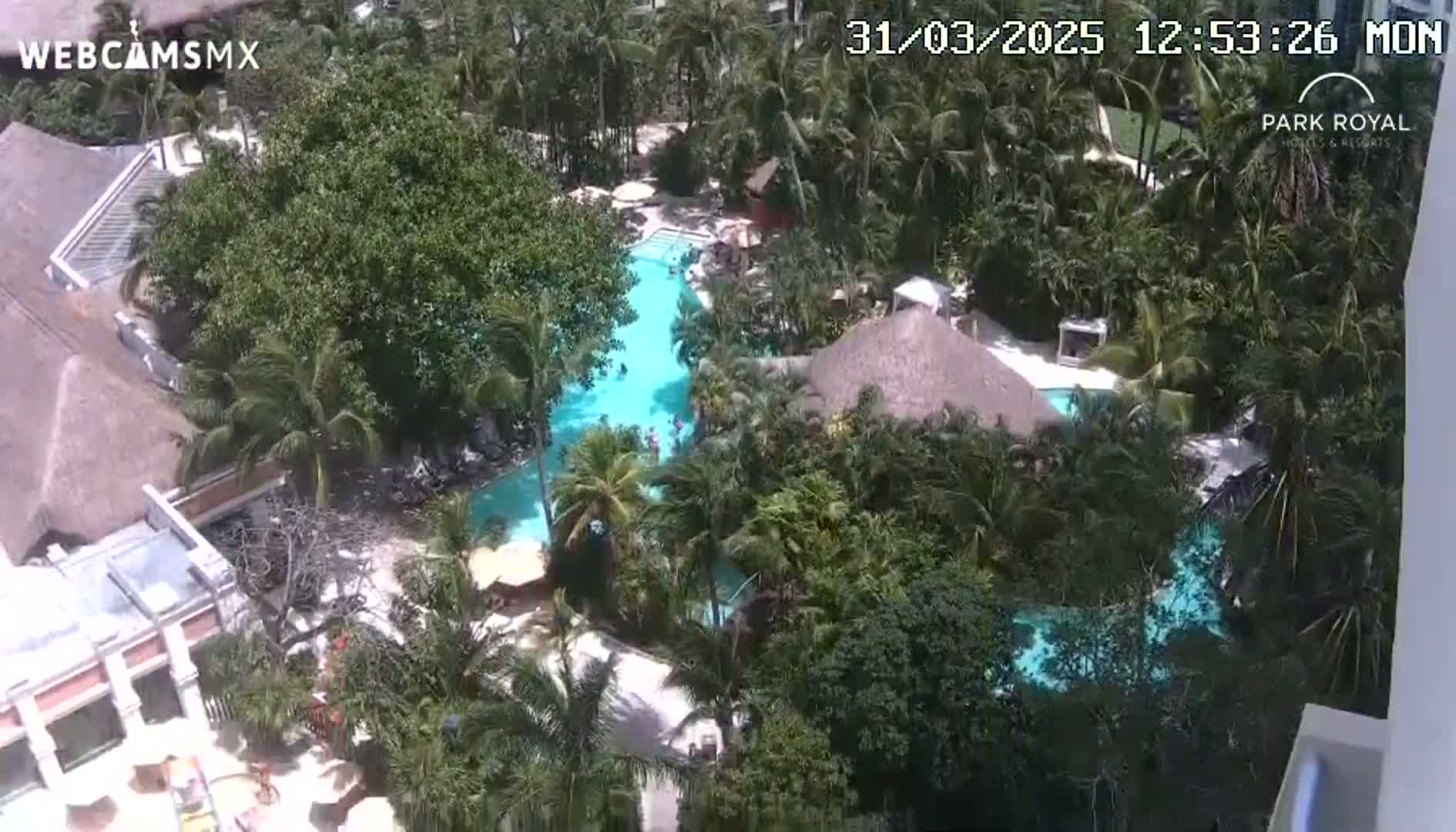 An aerial view shows a resort with multiple pools surrounded by lush tropical vegetation on a sunny day.