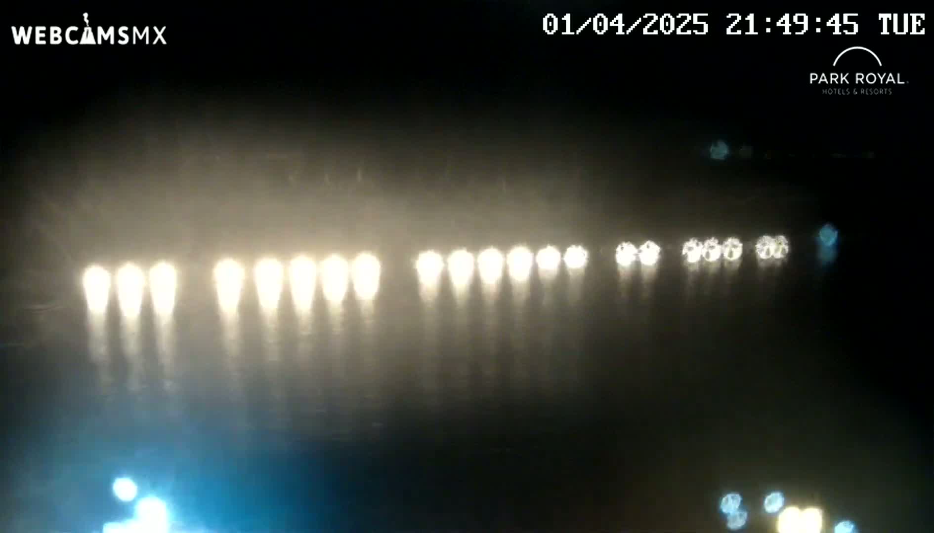 A nighttime, foggy view shows a line of headlights from multiple vehicles on a dark road.