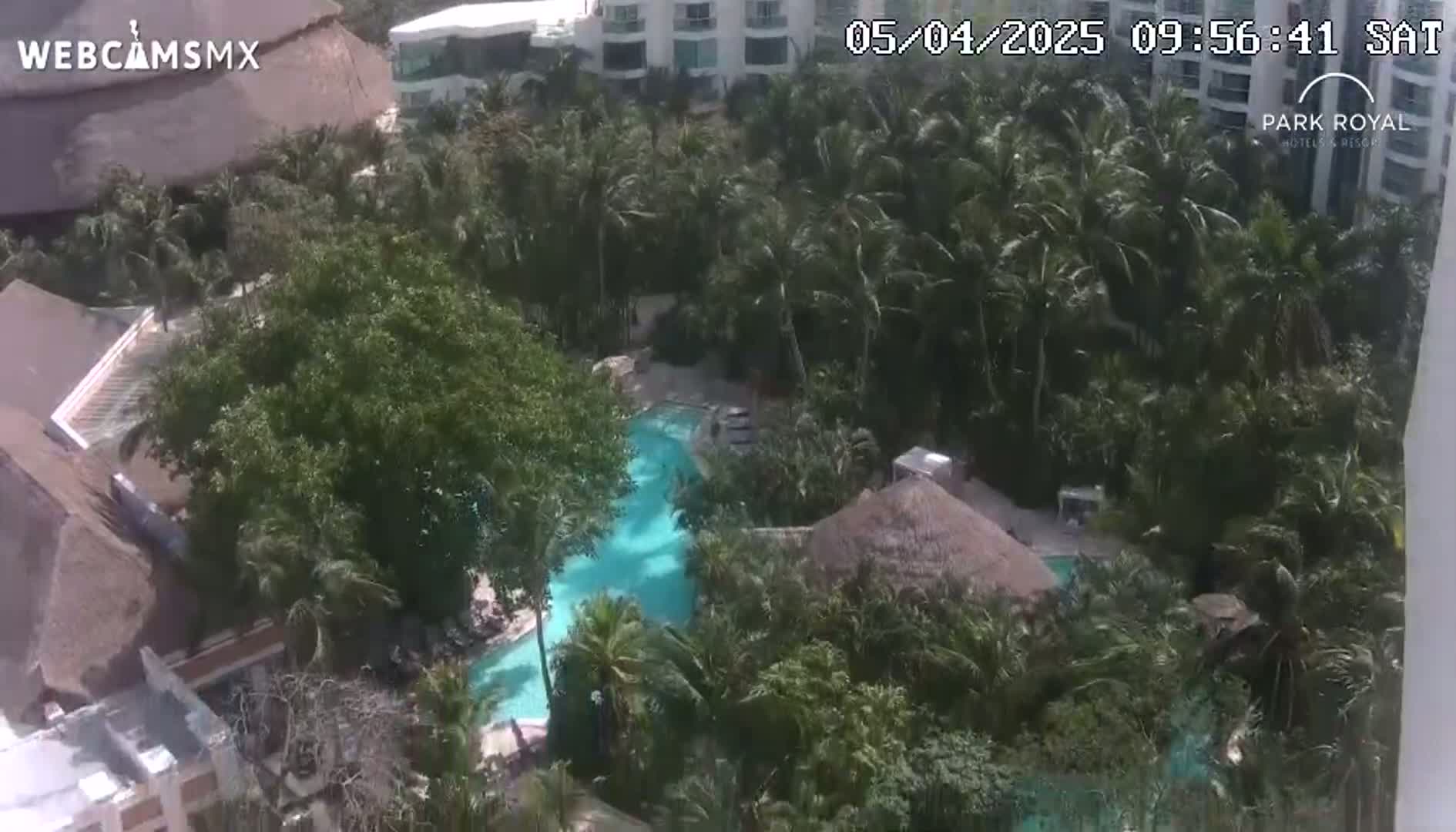 An aerial view shows a resort pool surrounded by lush tropical vegetation and buildings on a sunny day.