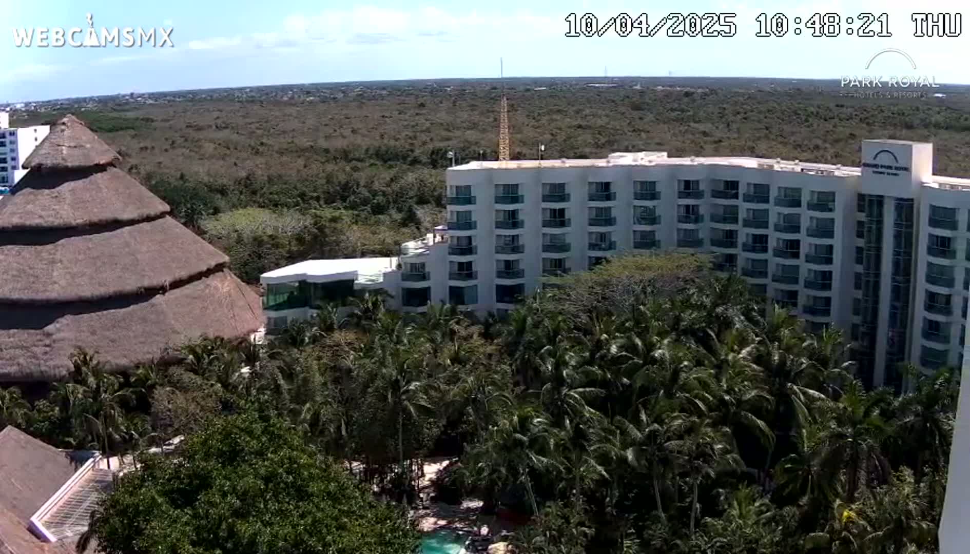A large, multi-story hotel is partially visible among lush green palm trees and vegetation under a clear, sunny sky.