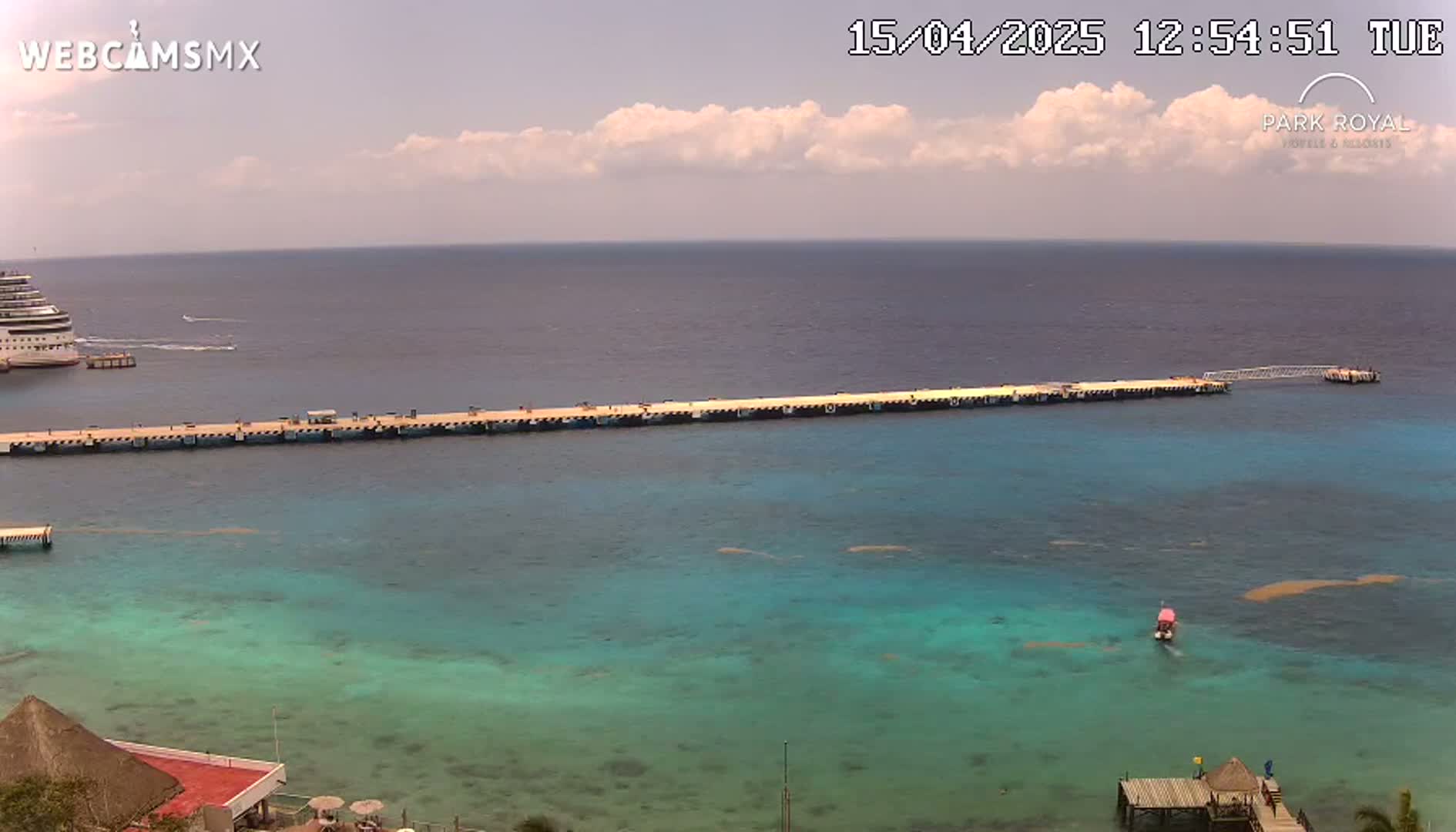 A long pier extends into a calm, turquoise ocean under a partly cloudy sky, with a cruise ship visible in the distance.