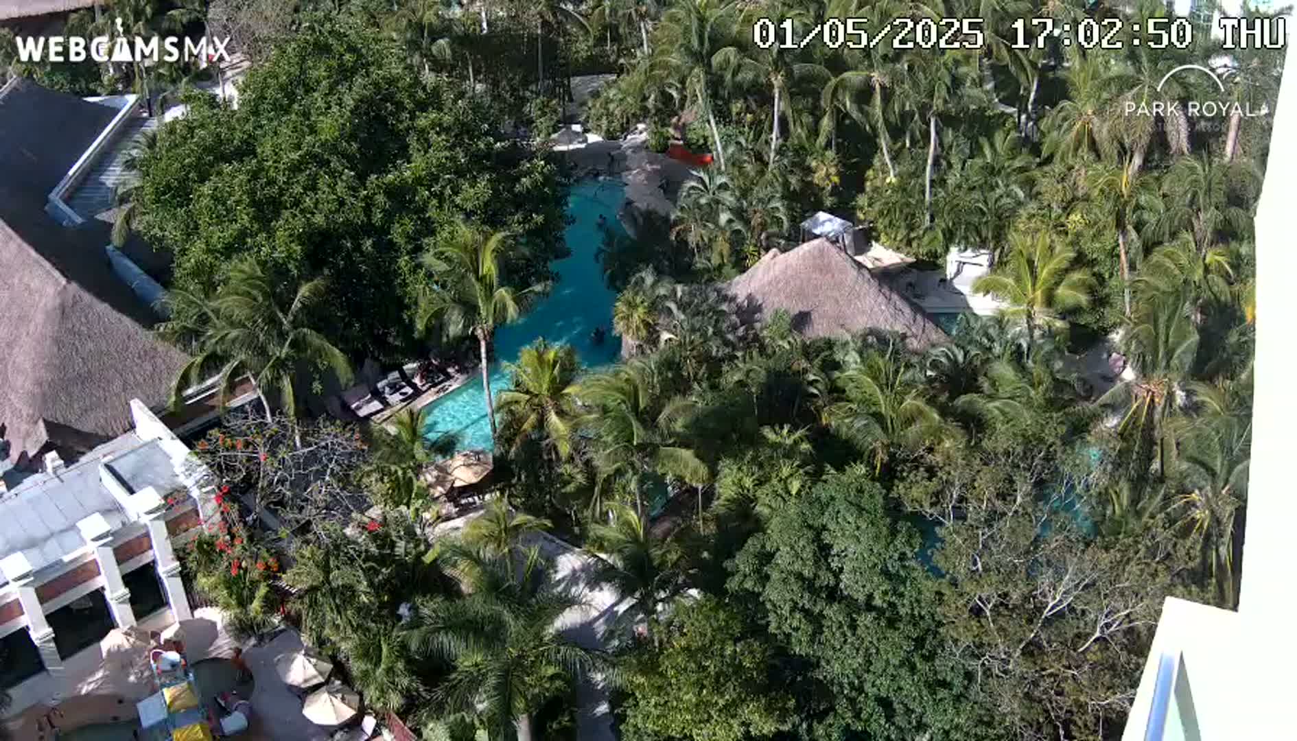 An aerial view shows a resort pool surrounded by lush tropical vegetation under a sunny sky.