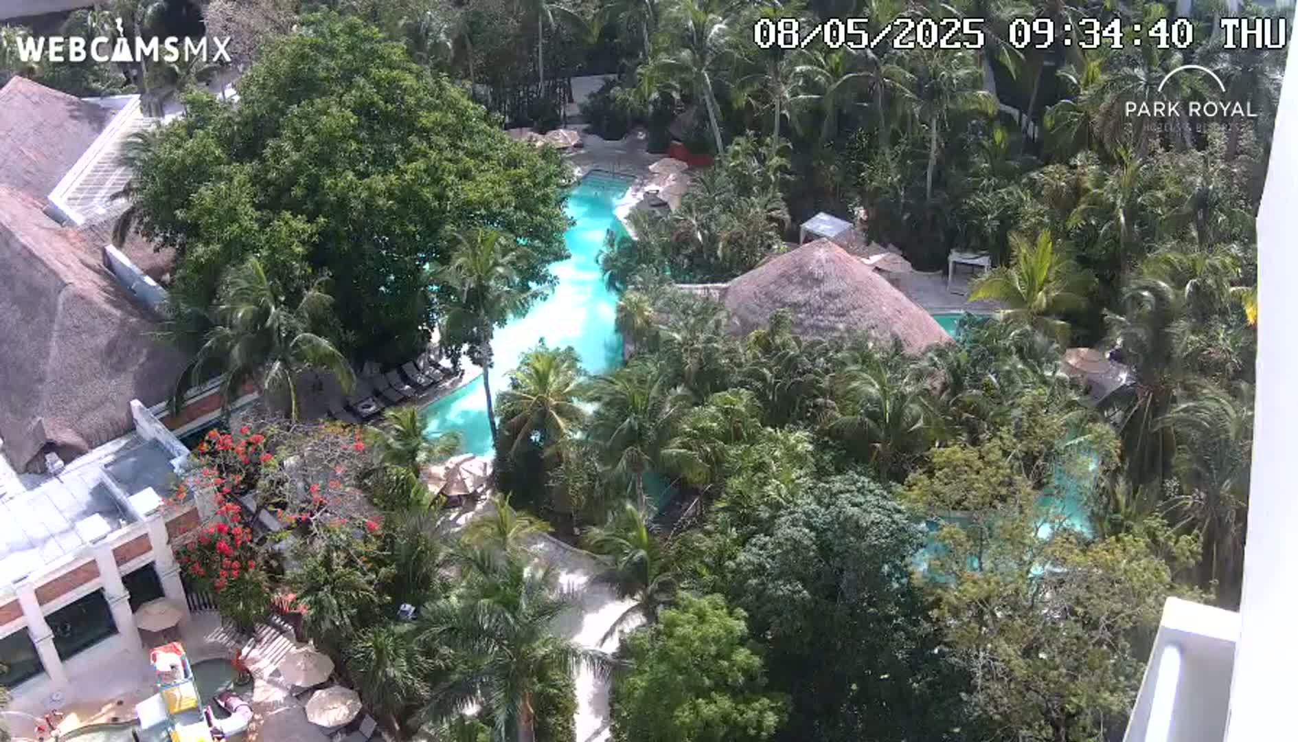An aerial view shows a resort pool complex nestled within lush tropical foliage under a sunny sky.