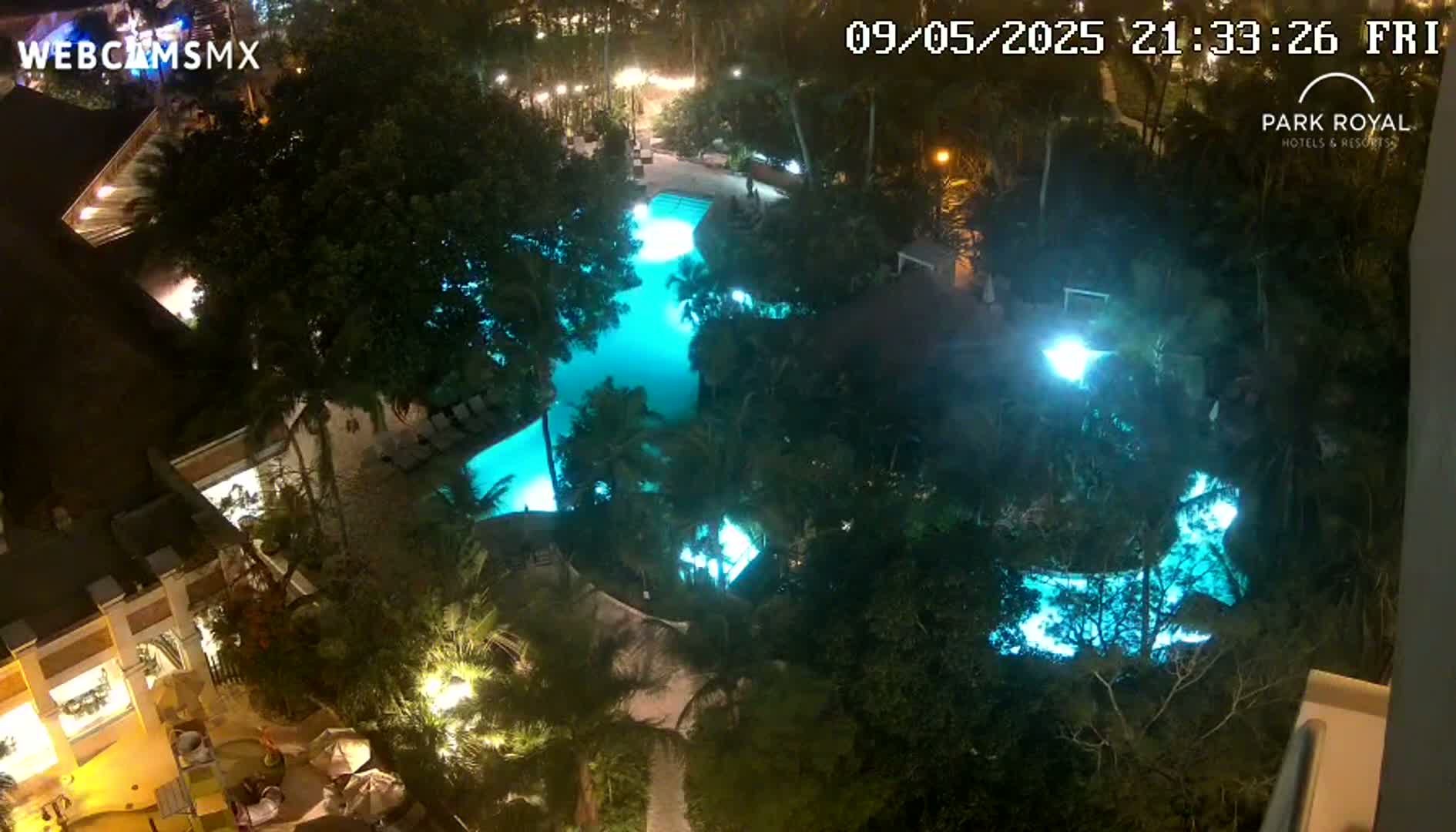 An illuminated, irregularly shaped swimming pool is surrounded by lush, dark tropical foliage at night.