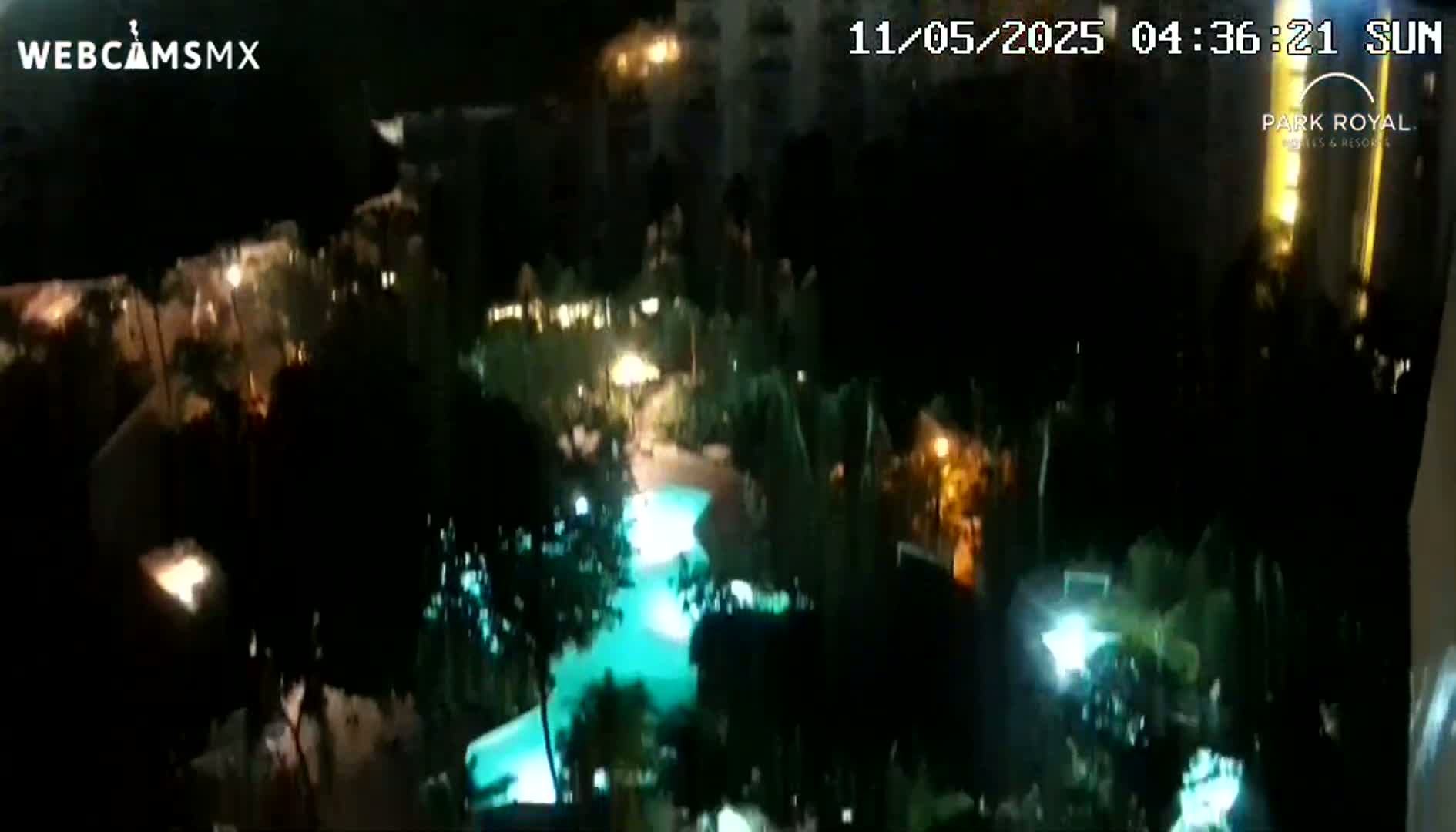 A nighttime, high-angle view shows a brightly lit swimming pool surrounded by dark trees and buildings.