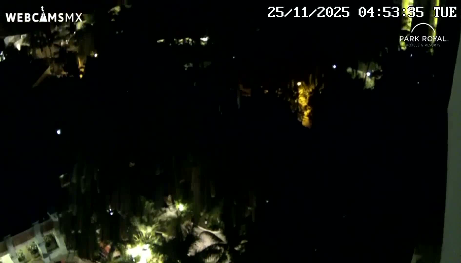 A dark outdoor night scene reveals illuminated palm trees and a corner of a building on the lower left, with scattered distant lights visible under clear conditions.