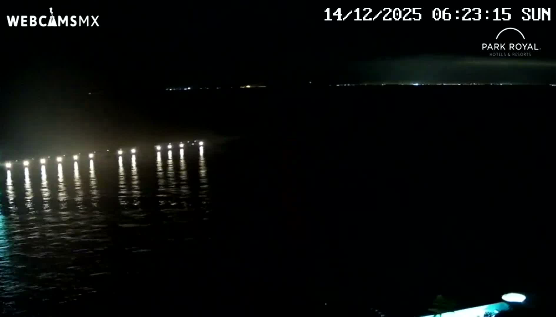 A dark outdoor night scene reveals illuminated palm trees and a corner of a building on the lower left, with scattered distant lights visible under clear conditions.