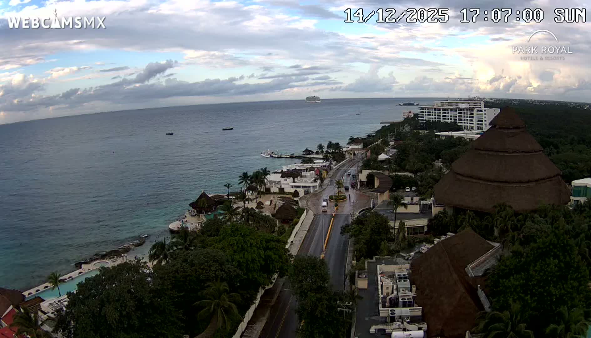 A dark outdoor night scene reveals illuminated palm trees and a corner of a building on the lower left, with scattered distant lights visible under clear conditions.