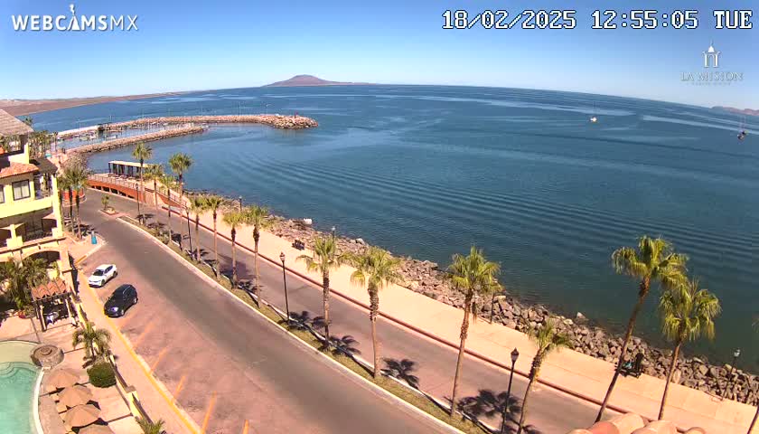 A seaside road lined with palm trees curves around a calm bay under a clear blue sky.