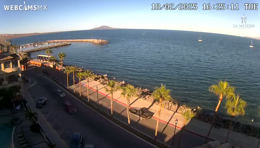 A clear, sunny day overlooks a calm bay with a marina, palm trees lining a paved road, and a few cars driving along the shoreline.