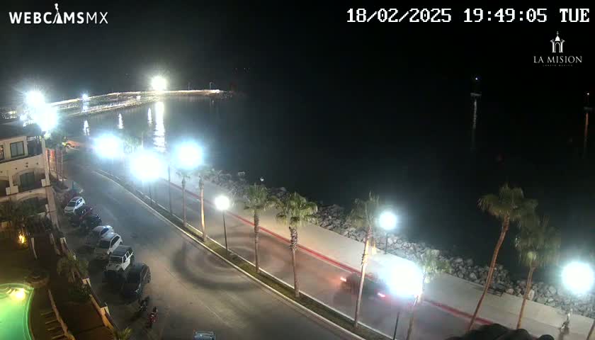A nighttime, brightly lit coastal road curves along a rocky shoreline next to a calm body of water, with palm trees lining the road and several cars parked and driving.