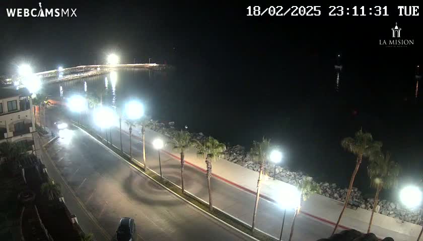 A nighttime, brightly lit seaside road with palm trees and a few vehicles is visible, overlooking a calm body of water under a clear sky.