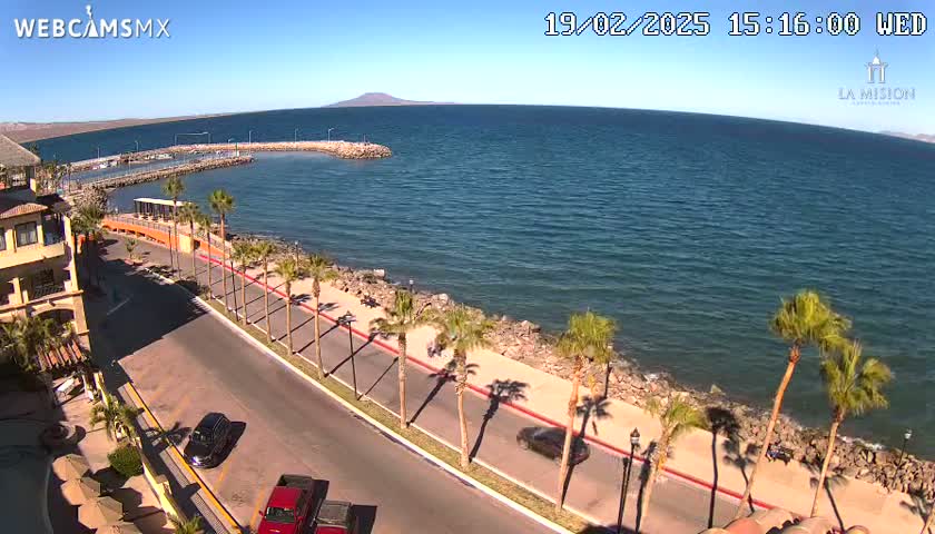 A sunny, seaside road with palm trees lines the shore next to a calm blue ocean and a small harbor, with mountains visible in the distance.