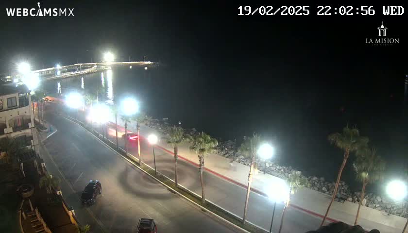 A nighttime, coastal road scene shows a few cars driving along a waterfront road lined with palm trees, under bright streetlights, next to dark water.