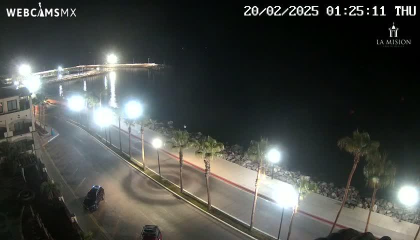 A nighttime, high-angle view shows a paved road next to a calm body of water, lined with palm trees and illuminated by streetlights.