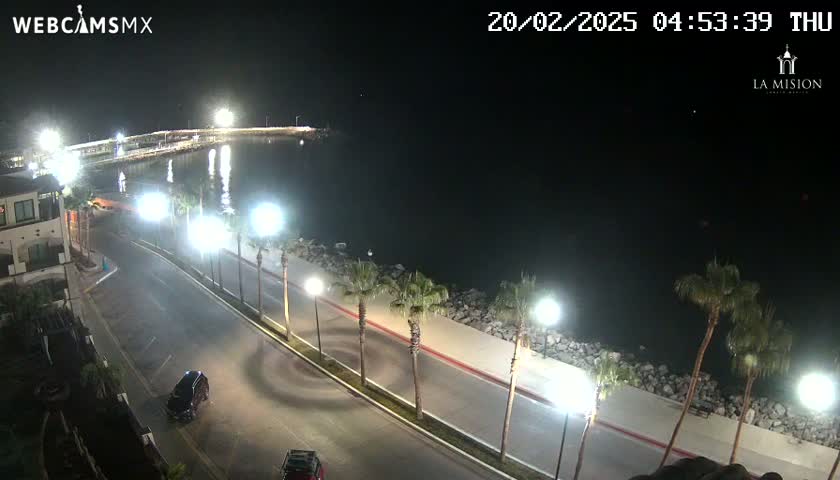 A nighttime, high-angle view shows a paved road curving alongside a body of water, lined with palm trees and lit by streetlights; a few vehicles are visible on the road.
