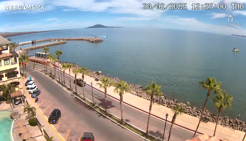 A seaside road lined with palm trees curves alongside a calm bay on a sunny day, with a small boat visible in the distance and several cars parked along the roadside.