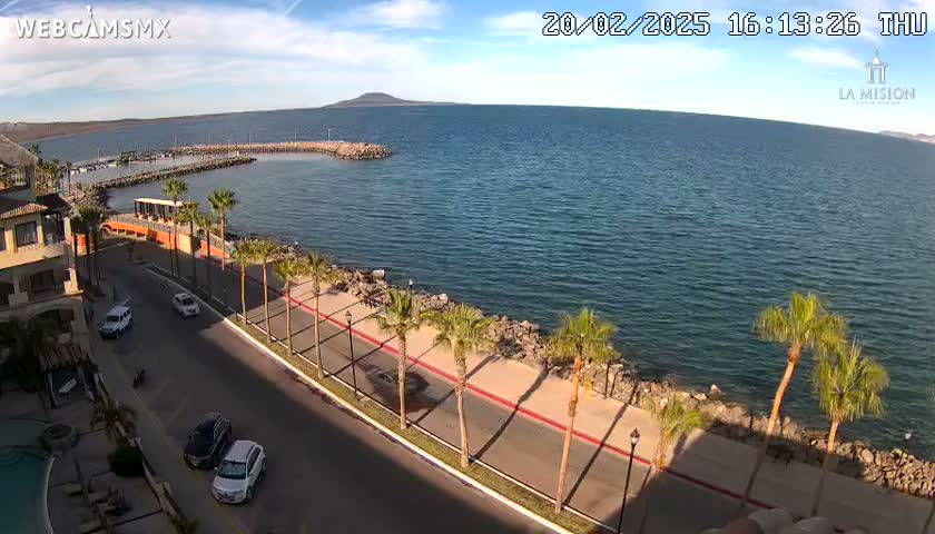 A sunny day overlooks a calm body of water, a paved road lined with palm trees bordering a rocky shoreline near a building and a marina.