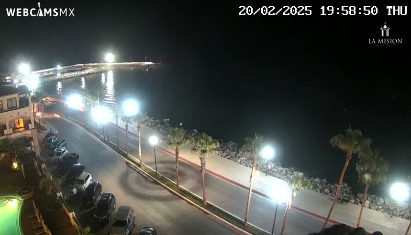 A nighttime, seaside scene shows a paved road lined with palm trees alongside a calm body of water, with parked cars visible near buildings and a pier in the distance, lit by streetlights.